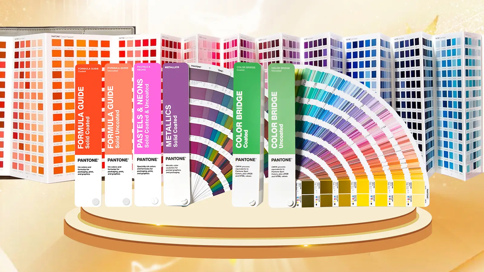 Pantone case study 3