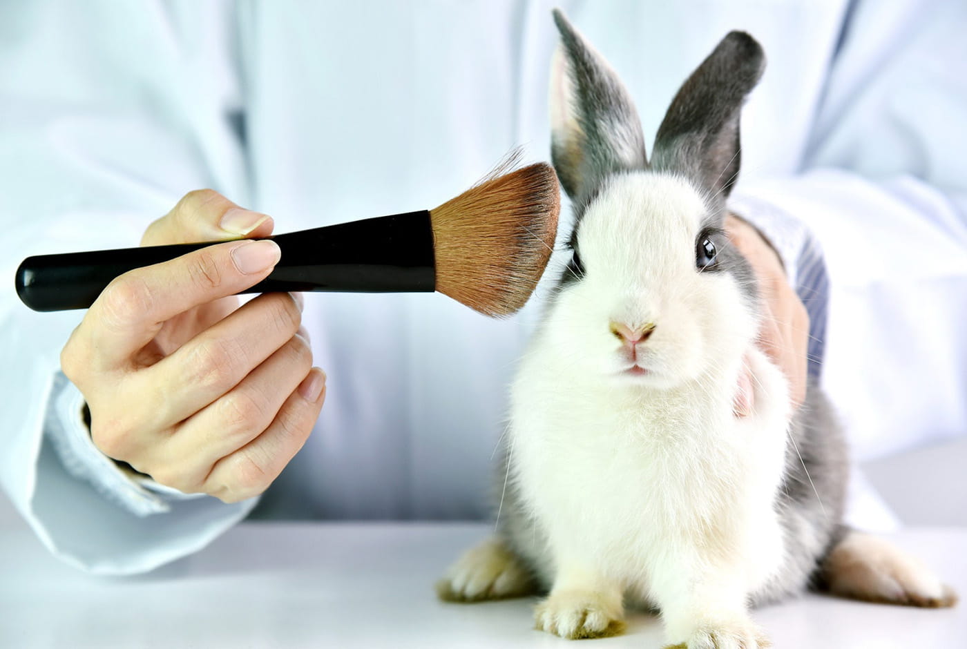 China Opens Doors for Cruelty-Free Beauty Brands