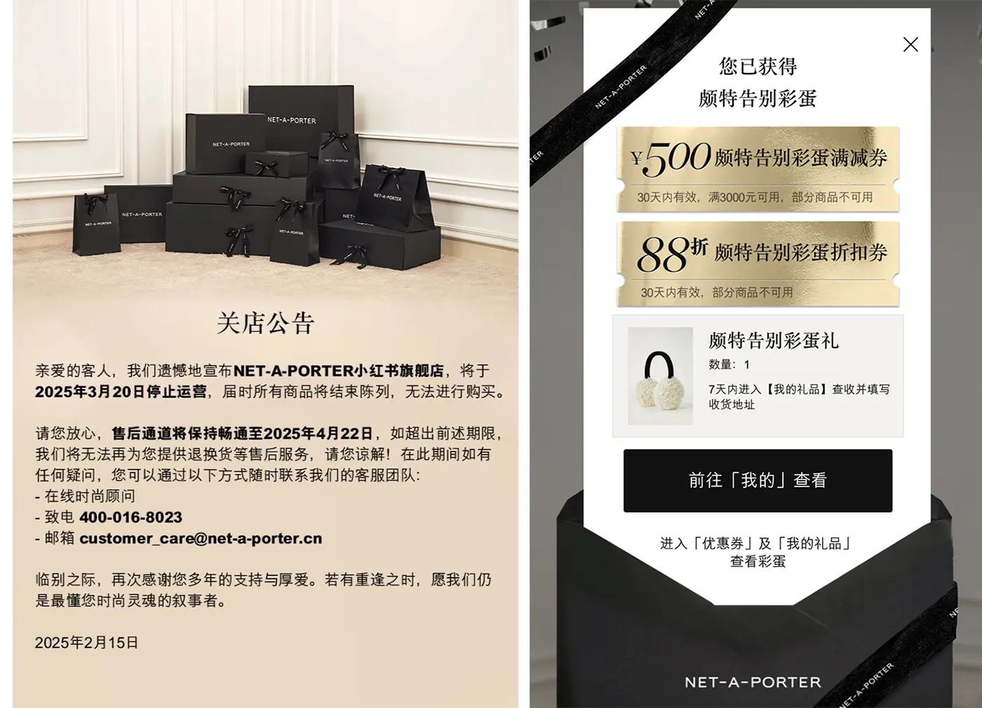 Net-a-Porter’s China Exit: The Wake-Up Call for Luxury Brands to Go D2C - Rednote