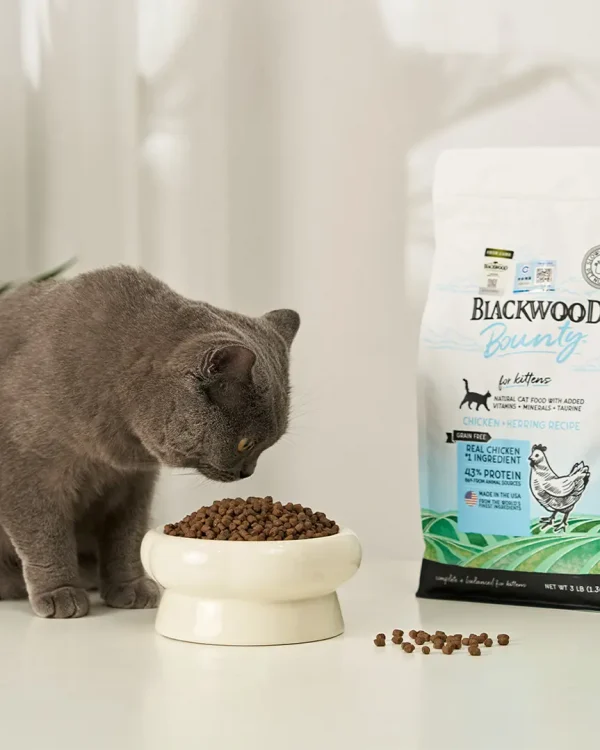 Blackwood hero 1